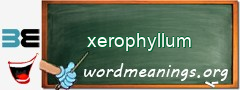 WordMeaning blackboard for xerophyllum